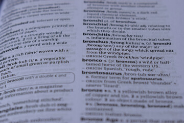 English Dictionary Page Close Up With The Word Meaning Of -bronchus