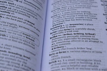English Dictionary Page Close Up With The Word Meaning Of -bribe