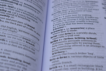 Definition Of English Dictionary Close Up Of Page With Word - bribe