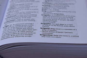 Obraz premium English Dictionary Page Close Up With The Word Meaning Of -brigand