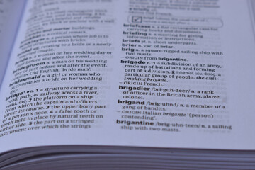 Obraz premium Definition Of English Dictionary Close Up Of Page With Word - brigadier