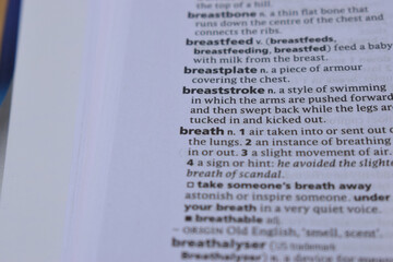 Definition Of English Dictionary Close Up Of Page With Word -  breaststroke