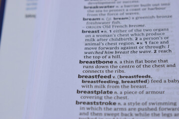 English Dictionary Page Close Up With The Word Meaning Of -breastbone