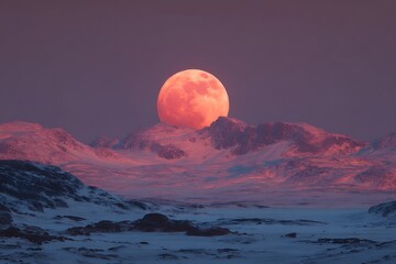 moon over the desert