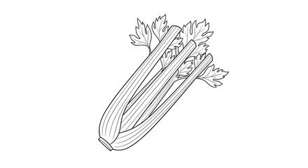 Simple and clean black and white line art illustration of a fresh bunch of celery stalks with leaves isolated on a background.