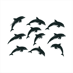 Fototapeta premium set of dolphins