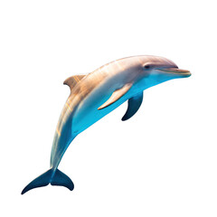 Obraz premium A Light Brown Dolphin Leaps From The Water With A Blue Glow On Its Underside And A Black Background