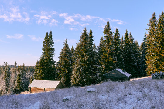 Barn and farmhouse at the Vindflosetra summer farm of the Toten&aring;sen Hills, Norway, November 2025.