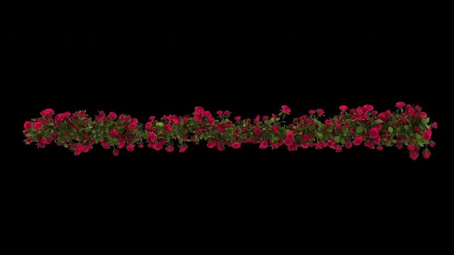 Seamless Horizontal Rose Flower Border Animation Alpha Channel Transparent
