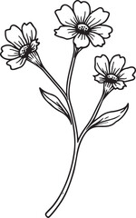 Obraz premium Delicate Wildflower Hand-drawn Sketch Drawing Vector Illustration, Line Linear Symbol Engraving Coloring Book, Black and White Isolated