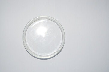 petri dish for experiments