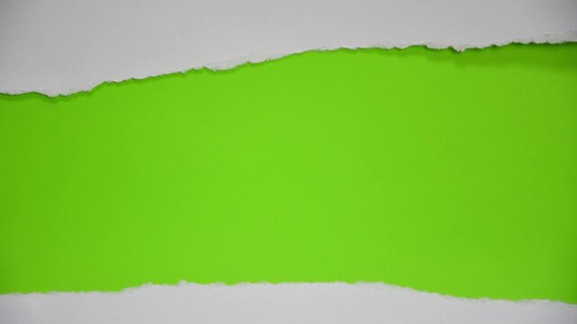 White paper tearing transition, revealing green screen, isolated element with chroma key background