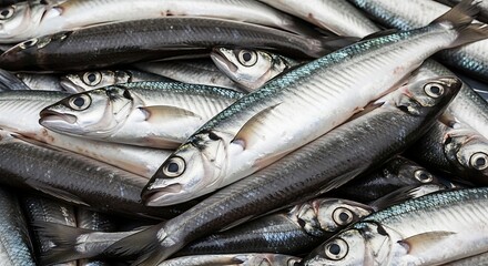 Fresh Catch Pile of Silvery Fish Ready for the Market or Meal