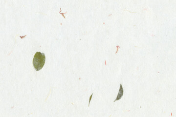 White handmade paper texture background with green leaf fiber inclusions. Natural recycled mulberry...