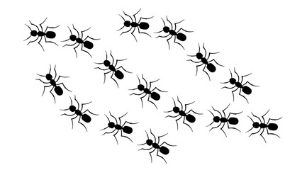 Silhouettes of ants grouped in a dynamic pattern, emphasizing movement and flow, Ant Trail Artwork – Black Silhouette Design