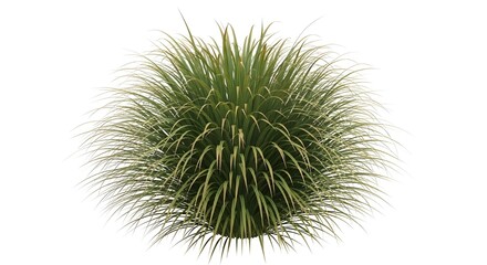 Obraz premium Close up of dandelion plant blowing in wind