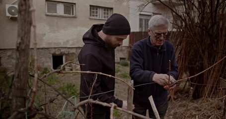 An experienced senior man is teaching a younger man how to prune vines in a home garden. This inter generational moment highlights shared knowledge, traditional skills, and family bonding.