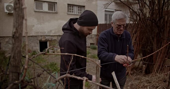 An experienced senior man is teaching a younger man how to prune vines in a home garden. This inter generational moment highlights shared knowledge, traditional skills, and family bonding.