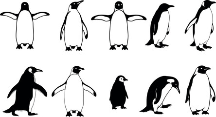 Collection of hand drawn penguin illustrations in various poses and styles