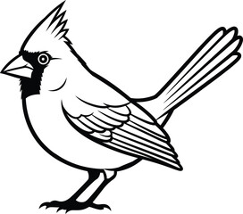 Fototapeta premium Northern cardinal bird illustration isolated on white background, graphic design, simple outline, no color, vector art Vector, illustration