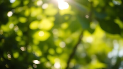 ambient. Soft-focused green foliage with sunlight filtering through, nature bokeh and ambient glow. gardening catalogs, home-decor guides, designed for home decor and floral branding.