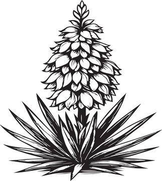 Vector art of a detailed black and white illustration of a blooming yucca plant with spiky leaves
