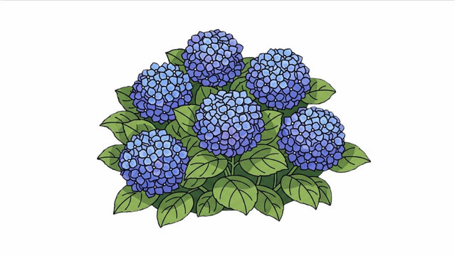 Blue Hydrangea Bush A Colorful Illustration of a Beautiful Blooming Plant