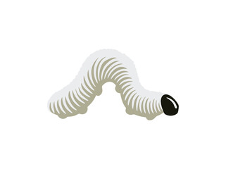 Cocoon Caterpillar Erionota Thrax in Banana Leaf