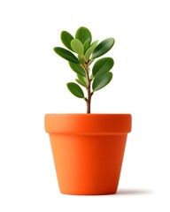 Obraz premium Small Green Plant in a Vibrant Orange Pot on White Background