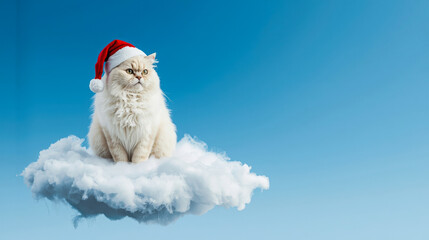 Fluffy white cat in Santa hat sitting on a soft cloud. Surreal Christmas concept on blue sky background with copy space.