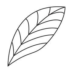 Clipart Leaf line art, for element design