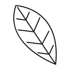 Design leaf, line art style
