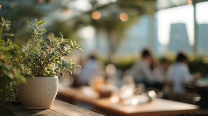 Potted plant on a wooden table in a restaurant. the plant is a small succulent with green leaves and is in a white ceramic pot.