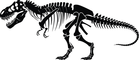 Detailed black and white illustration of a Tyrannosaurus rex skeleton showcasing prehistoric anatomy, fossil structure, dinosaur bones, paleontology science, and ancient history