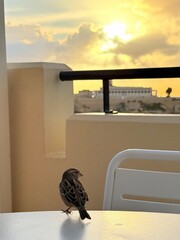 woman looking out window