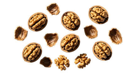 A collection of walnuts and walnut shells isolated on transparent background, showcasing their texture, color, and form in a clean composition
