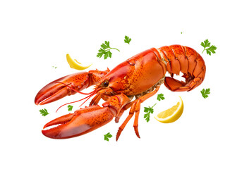 Delicious Red Lobster with Lemon Slices and Parsley Garnish