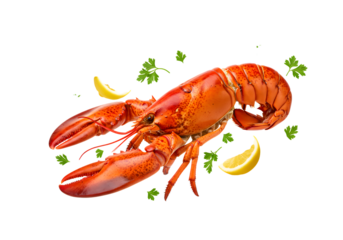 Delicious Red Lobster with Lemon Slices and Parsley Garnish