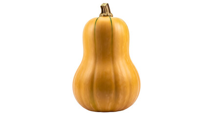 Butternut squash isolated on transparent background, a winter squash with a sweet, nutty taste, and a versatile ingredient for culinary creations