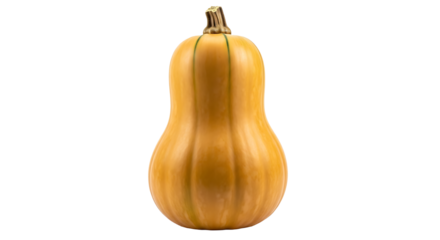 Butternut squash isolated on transparent background, a winter squash with a sweet, nutty taste, and a versatile ingredient for culinary creations