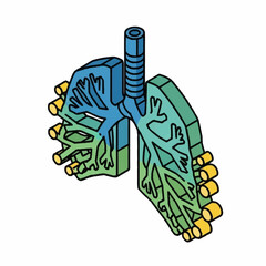 Isometric Lungs Illustration - Detailed Anatomical Representation for Medical Use.