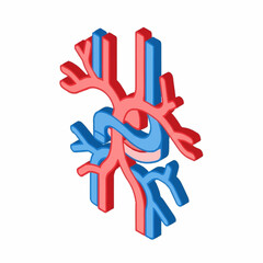 Isometric illustration of human circulatory system with arteries and veins.