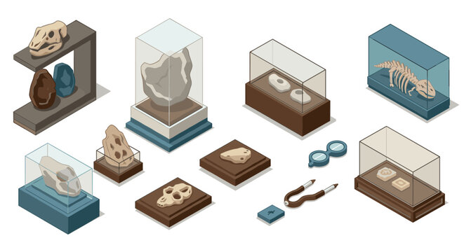 Isometric fossil collection in museum display cases with tools
