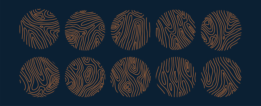 Set of decorative rounded wood cuts with wavy rings. Cross sections of tree trunk. Organic ripple circles. Hardwood stump. Vector linear illustration