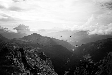 mountain view in black and white with birds