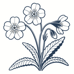 Cluster of Primrose Flowers with Buds and Leaves in Outline bloom petal