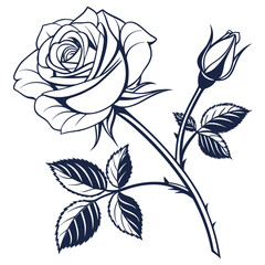 Single Rose Flower and Bud with Leaves in Outline bloom petal