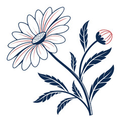 White Daisy Flower and Bud with Red and Blue Accents on White Background floral bloom