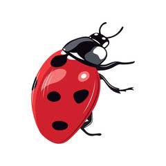 Ladybug insect red and black color. Summer bug. Meadow insects. 