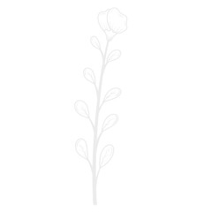 Flower white line art.